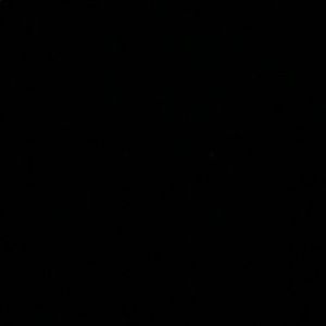 Meet your Posher, Winter